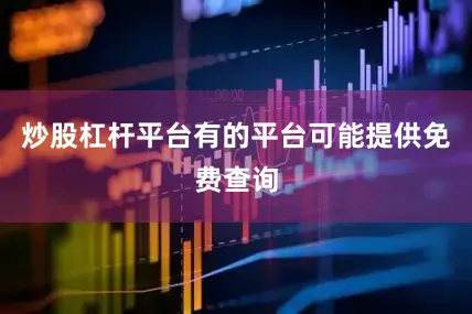 炒股杠杆平台有的平台可能提供免费查询